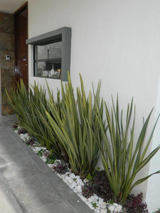 Apartamento Apartamento Erita Alicante Exterior foto